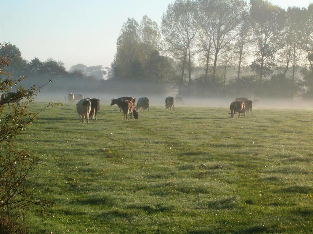 Hotel Linge Elst